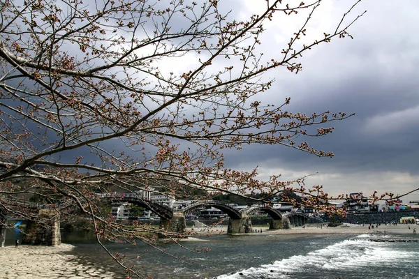 Iwakuni Kintai Köprüsü — Stok fotoğraf