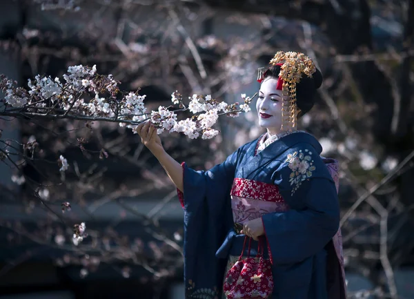 Senhora agradável na imagem de Maiko o aprendiz Geisha — Fotografia de Stock