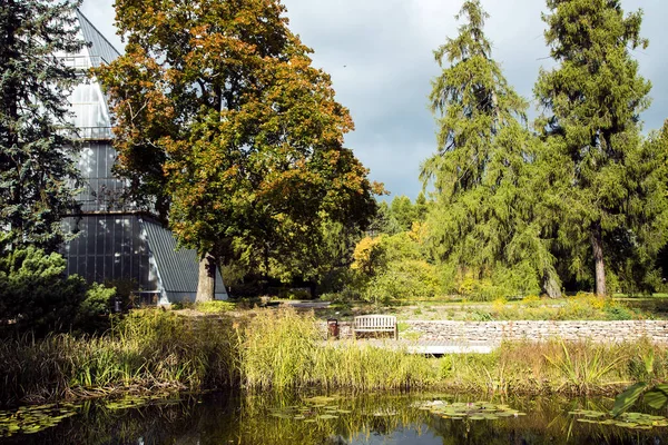 Beautiful autumn park with a pond with lilies — Stock Photo, Image