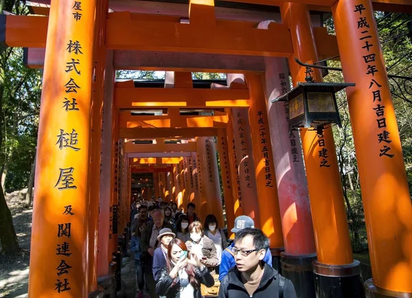 Temple of Fushimi Inari-taisia