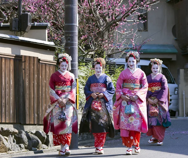 Vier hübsche Frauen im Maiko-Kimono-Kleid — Stockfoto