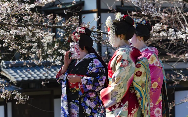 Три приємні жінка в Maiko кімоно плаття — стокове фото