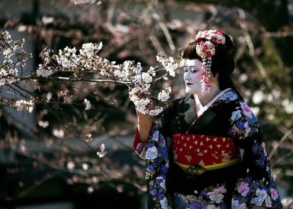 Senhora agradável em vestido de quimono Maiko — Fotografia de Stock