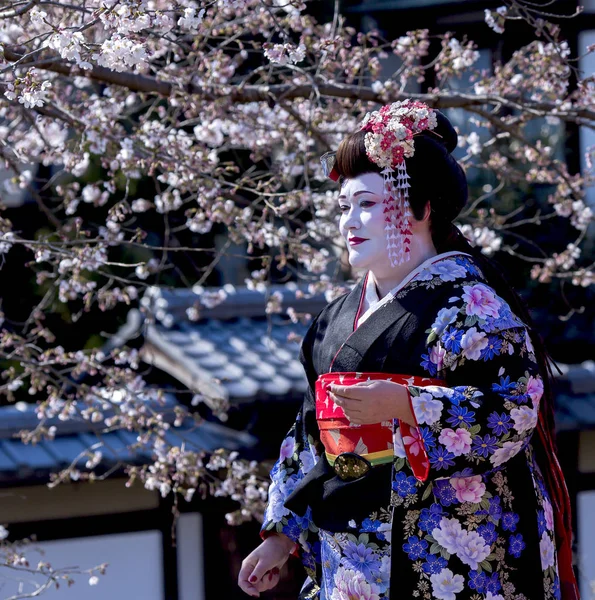 Porträt der schönen Dame im Maiko-Kimono-Kleid — Stockfoto