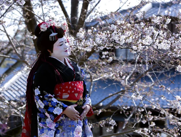 Portrait of beautiful lady in Maiko kimono dress