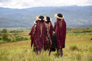 Endonezya, Papua Yeni Gine, Wamena, Irian Jaya, 20 Ağustos 2018: Papualı kabileler Baliem Vadisi festivali için Wamena, Papua Yeni Gine. 