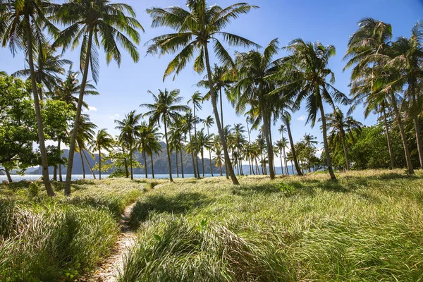 Боракайский Тропический Райский Остров Пальмами Индийском Океане Филиппины — стоковое фото