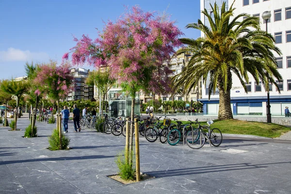 스페인 산세바스티안 2018 스페인 산세바스티안에 라콘차 근처에서 나무와 자전거 주차장 — 스톡 사진