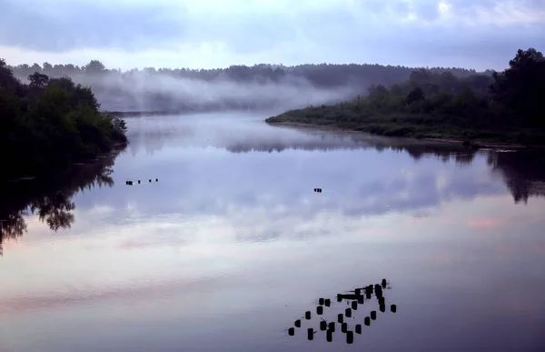 Hermosa Puesta Sol Niebla Otoño Sobre Tranquilo Lago Forestal Reflejado — Foto de Stock