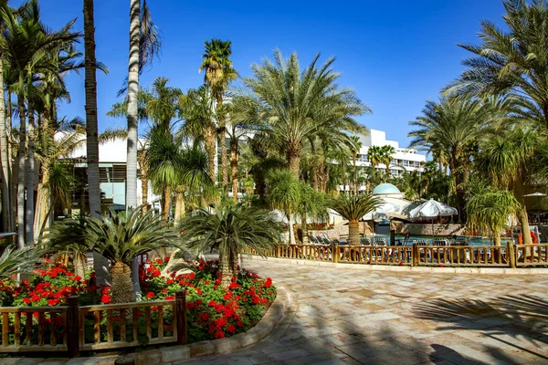 Beautiful Garden Territory Modern Hotel Eilat Middle East Israel — Stock Photo, Image