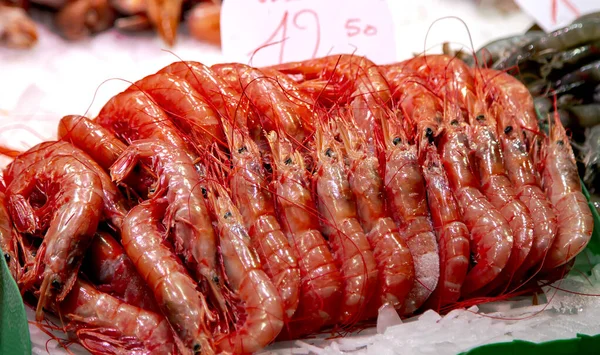 Fresh Red King Tiger Shrimp Sale Fish Market Boqueria Market — Stock Photo, Image