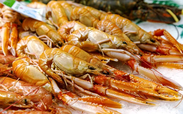 Fresh Langoustines Lying Ice Sale Boqueria Market Barcelona Spain — Stock Photo, Image