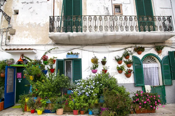 Bari Italy August 2016 Picturesque Street Old Small Houses Decorated — Stock Photo, Image