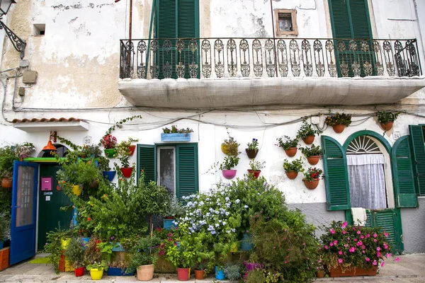 Bari Italy August 2016 Talya Nın Adriyatik Kıyısındaki Bari Eski — Stok fotoğraf