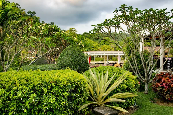 Naturskön Tropisk Park Med Mängd Olika Växter Med Ett Litet — Stockfoto