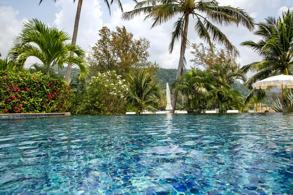 Piscina Com Água Azul Turquesa Meio Jardins Tropicais Ilha Koh — Fotografia de Stock