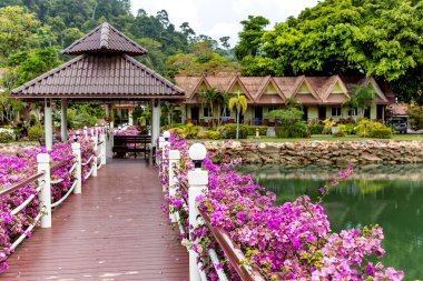 Yazlık ahşap bungalovlar güzel bir tropikal parkı olan göletin kıyısı ve Tayland 'ın Koh Chang şehrinde yemyeşil çiçekleri olan ahşap bir köprü.