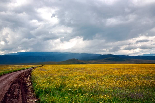 Estrada Pelas Colinas Arborizadas Fundo Uma Nuvem Fofa Área Conservação — Fotografia de Stock