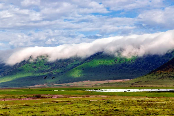 Valle Ngorongoro Con Prados Florecientes Fondo Montañas Con Nubes Tanzania — Foto de Stock