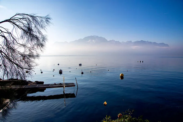 Panorama Des Genfer Sees Mit Morgennebel Über Der Wasseroberfläche Hintergrund — Stockfoto