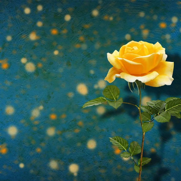 Όμορφο κίτρινο τριαντάφυλλο με πράσινα φύλλα σε φόντο — Φωτογραφία Αρχείου