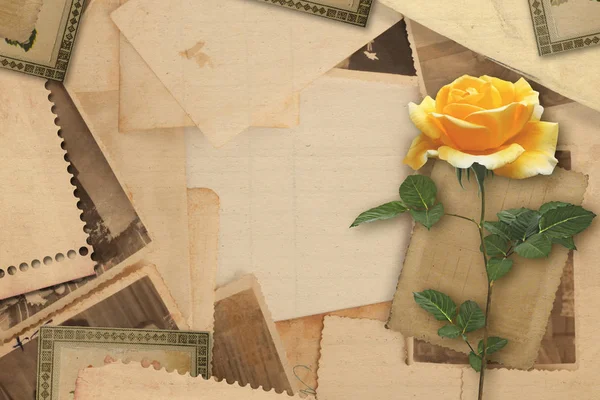 Old vintage archive with  yellow roses — Stock Photo, Image