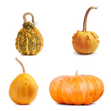 Büyük sarı kabak izole arka plan ayarla 