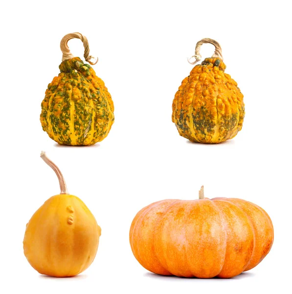 Coloca la calabaza amarilla grande sobre un fondo aislado —  Fotos de Stock