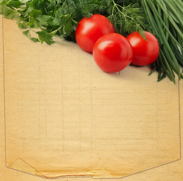 Gamla retro sönderrivna tom receptbok med foto av tomat — Stockfoto