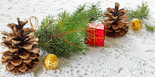 Julgran gren med gåva i röd låda — Stockfoto