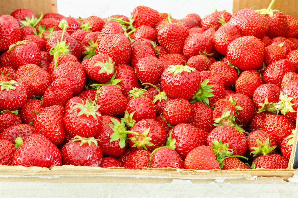 Large box of ripe tasty strawberries. Summer harvest. 