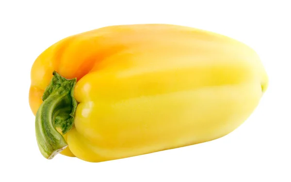Paprika kuning segar pada latar belakang putih — Stok Foto