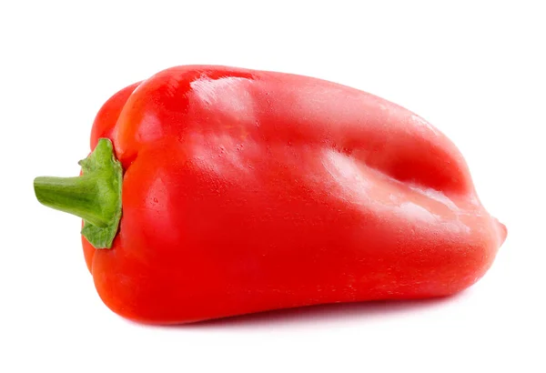 Verse rauwe rode paprika op geïsoleerde achtergrond — Stockfoto