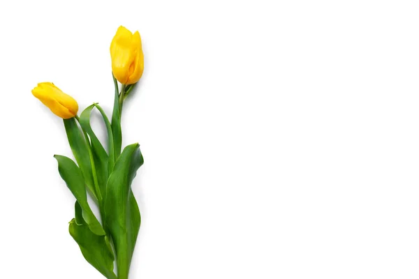 白い背景の上の黄色のチューリップの美しい花束 — ストック写真