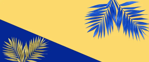 黄纸背景的最小热带蓝棕榈叶 — 图库照片