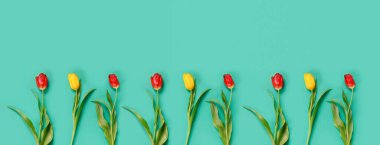 Sarı ve kırmızı laleli güzel bir kart. Kutlama davetiyesi ya da bayrak için.