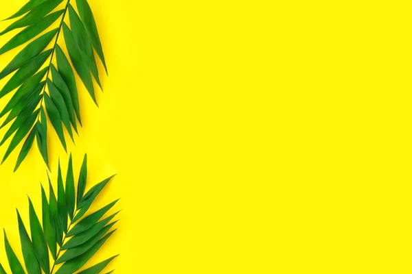 黄色の紙の背景に極小の熱帯緑のヤシの葉 — ストック写真