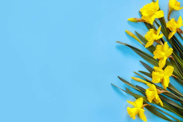 Çiçek Kompozisyonu Sarı Narsisli Desenli Mavi Kağıtta Yapraklar Var Düz — Stok fotoğraf