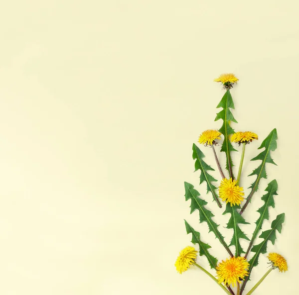 Blommor Bukett Sammansättning Mönster Gula Maskrosor Med Blad Gult Papper — Stockfoto