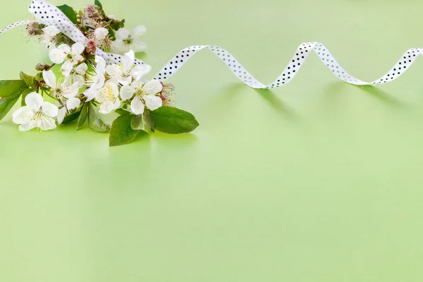 Güzel Bir Anne Doğum Günü Kartı Narin Sakura Çiçekleri Yeşil — Stok fotoğraf