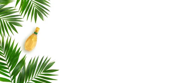 Minimum Tropikal Yeşil Palmiye Yaprağı Beyaz Izole Arka Planda Cam — Stok fotoğraf