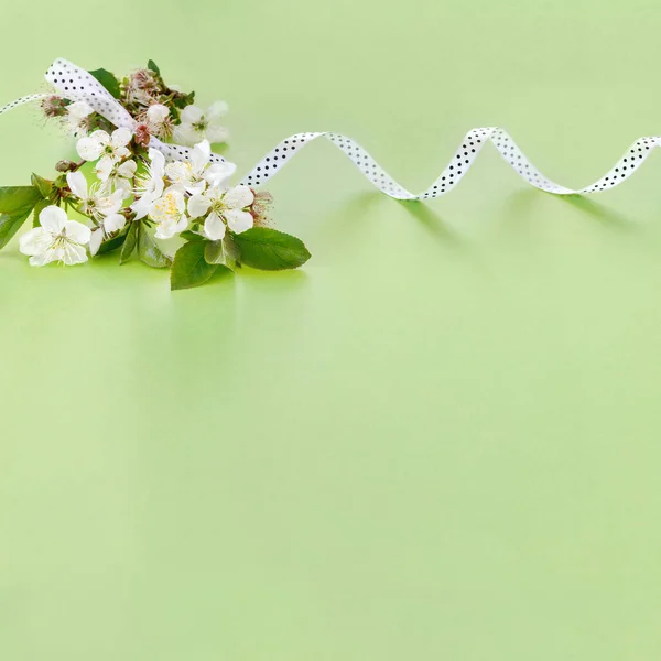 Güzel Bir Anne Doğum Günü Kartı Narin Sakura Çiçekleri Yeşil — Stok fotoğraf