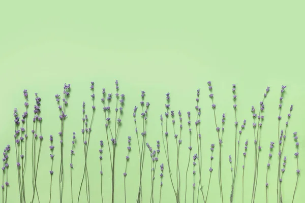 Гілки Сухого Фіолетового Ароматного Лаванди Фоні Зеленого Паперу Плоский Простір — стокове фото