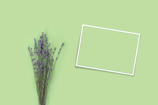 Lavanda Púrpura Para Celebración Diseño Decoración Sobre Fondo Papel Verde —  Fotos de Stock