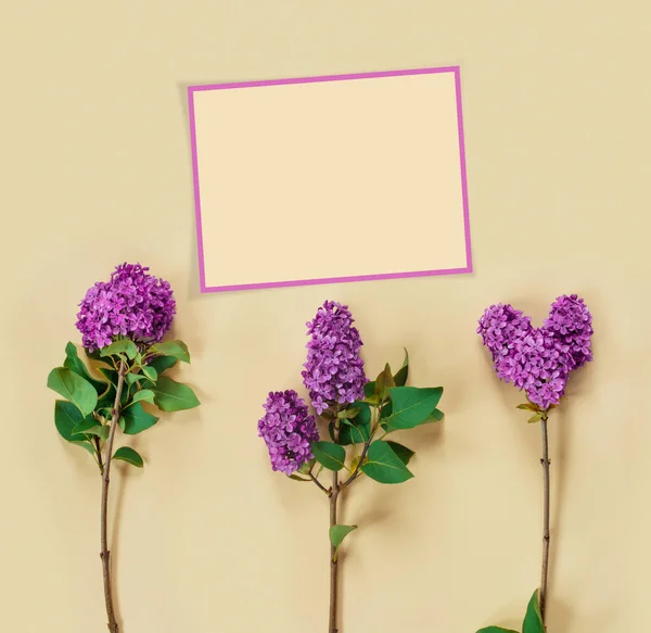 在情人节的米色纸背景上 三枝紫丁香心形小枝 — 图库照片