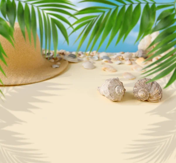 貝殻の美しいわらの帽子 海の海岸と青い空のヤシの葉 自然夏の背景 — ストック写真