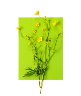 Tatil hediyesi olarak sarı düğün çiçeği desenli güzel bir kartpostal.