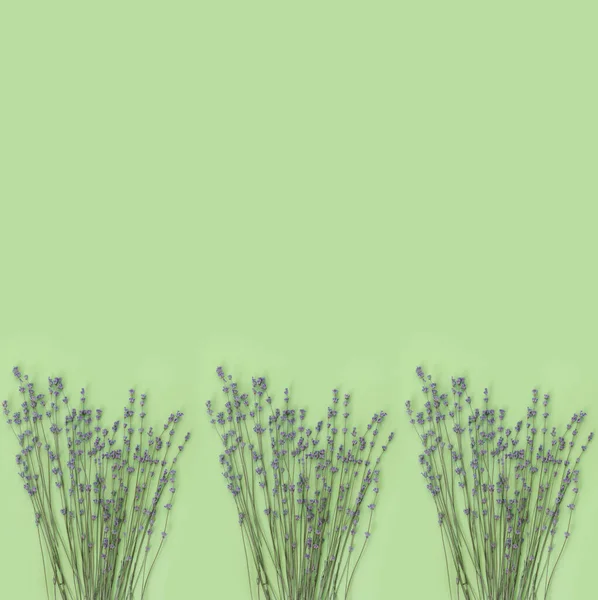 Boeket Droge Paarse Geurige Lavendel Groene Papieren Achtergrond Vlakke Lay — Stockfoto