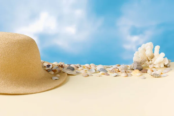 Vacker Halmhatt Med Skal Havskusten Och Blå Himmel Natur Sommar — Stockfoto