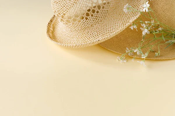 砂の晴れた日にデイジーの花束を持つ美しいわら帽子 自然夏の背景 — ストック写真